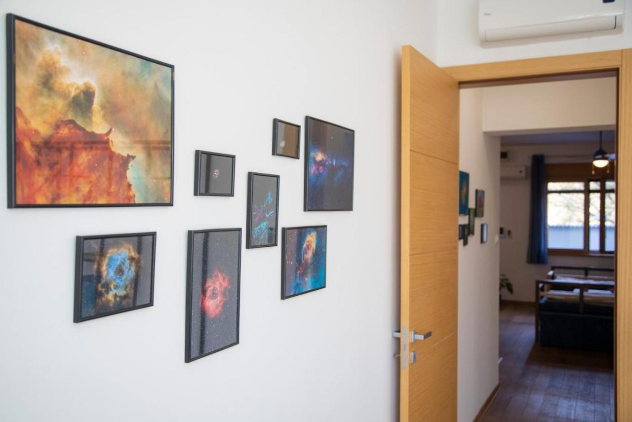 Sava Apartment Újvidék Kültér fotó